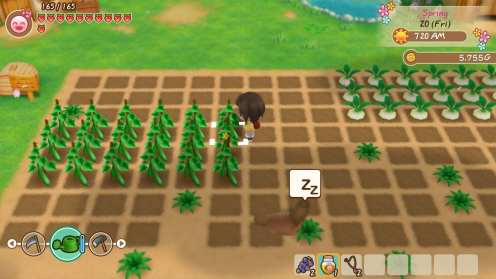 STORY OF SEASONS_ Friends of Mineral Town - PC_06